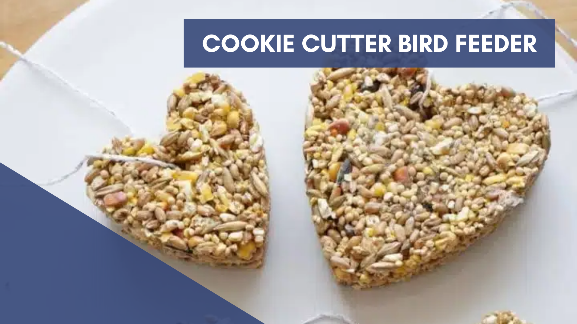 Cookie Cutter Bird Feeder