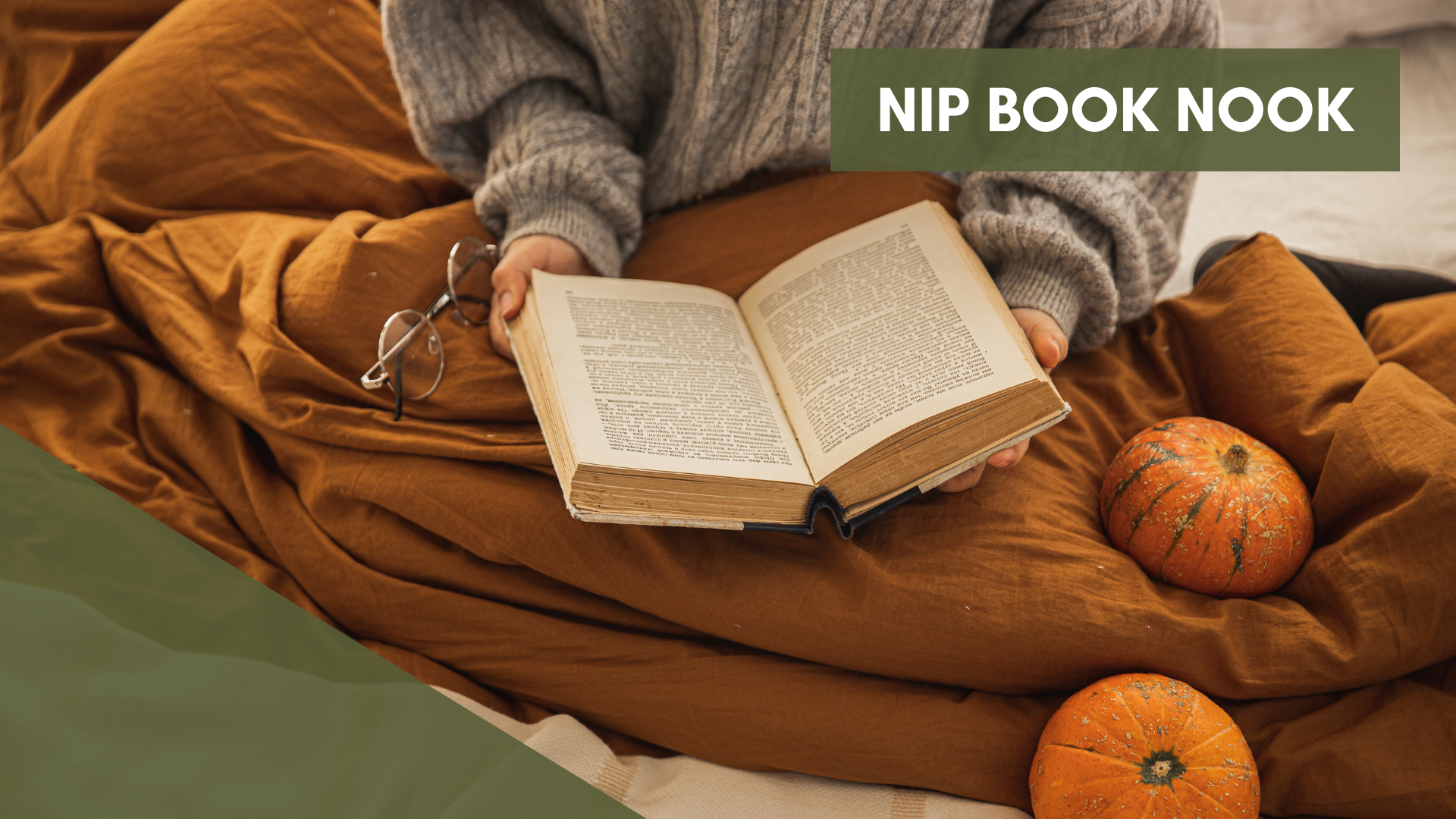 NIP Book Nook (November 2024)