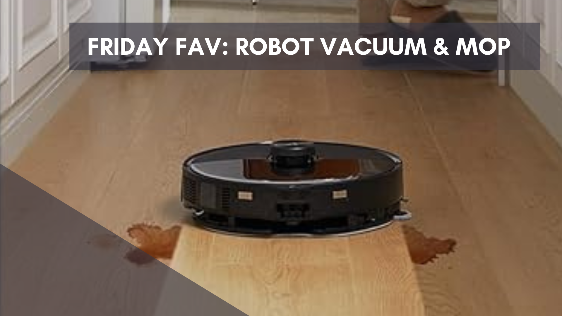 Friday Fav: Roborock Robot Vacuum and Mop