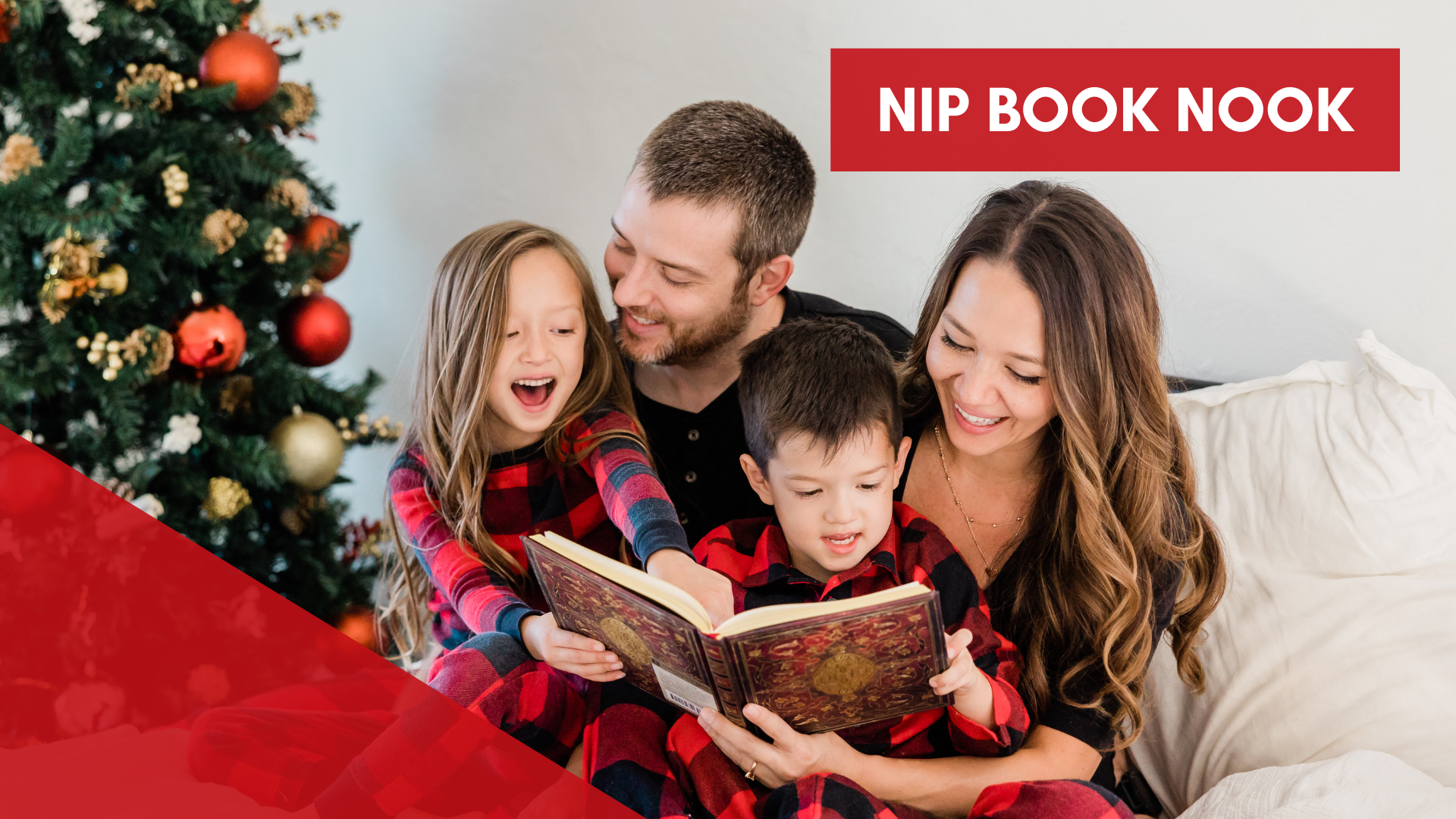 NIP Book Nook (December 2024)